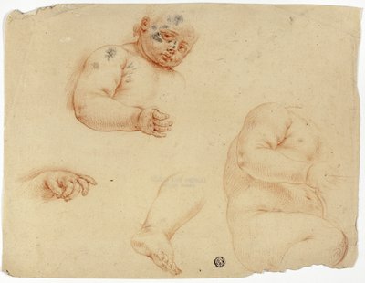 Sketches of a Child: Half-Length, Torso, Foot, Hand by Unknown Lombard