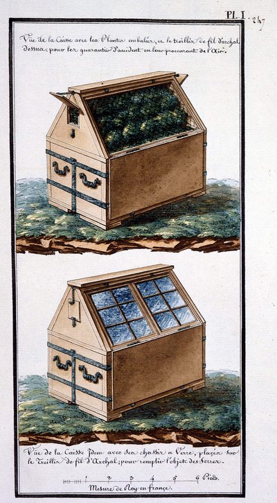 View of the Box with Packed Plants, and Archal Wire Mesh on Top: To Guarantee Them from Accident by Providing Air. View of the Body Same with Its Glass Frames, Placed on the Archal Wire Mesh by Unknown artist