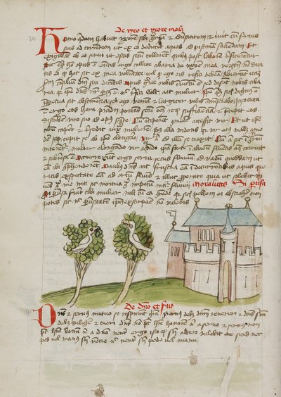 A Bird Perched in a Tree near a Town by Unknown artist