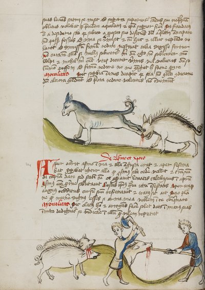 A Donkey Kicking a Wild Boar; A Pig Being Slaughtered by Unknown artist