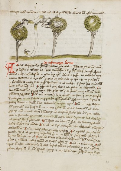 A Goshawk in a Tree and a Nightingale Flying Away from its Nest by Unknown artist