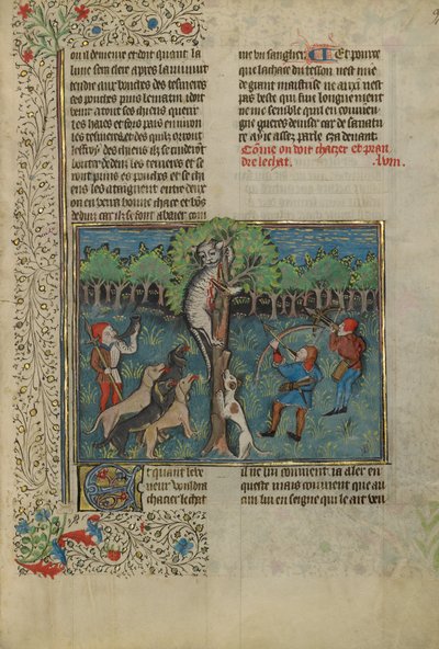 A Hunter and Dogs Attacking a Treed Wild Cat by Unknown artist