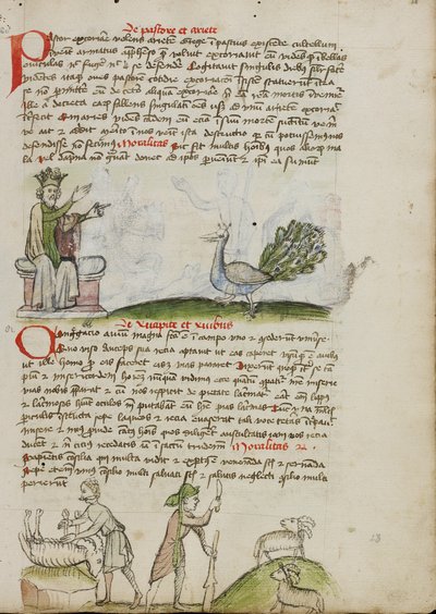 A King Enthroned Speaking to a Peacock; A Shepherd Killing a Ram; A Shepherd with a Staff and a Knife before Two Goats by Unknown artist