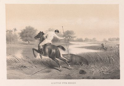 A Little Over Ridden by Unknown artist