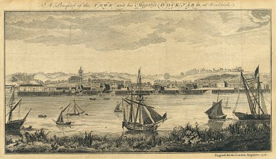 A Prospect of the Town and his Majesty