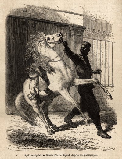 A Senegalese spahi (cavalier) in Saint-Louis. Engraving to illustrate a cruise on the coast of Africa by Unknown artist