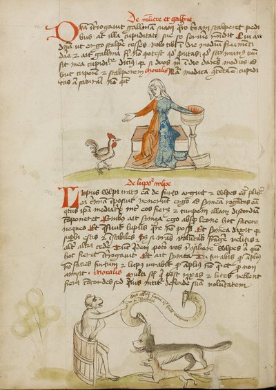 A Woman with a Vessel and a Hen; A Monkey Instructing a Fox and a Wolf by Unknown artist