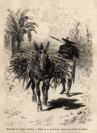 A cane merchant and his mule in Cartago (Costa Rica), the only merchant who animates the empty streets of the city. Engraving to illustrate the voyage to New Granada, by Dr. Saffray, in 1869, published in “Le tour du monde” 1873, edited by Edouard Charton by Unknown artist
