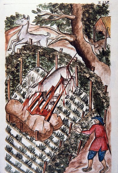 A deer falls into the trap of hunters, from the book Trujillo del Peru or Codice Martinez Compañón, by Baltazar Martinez Compañón y Bujanda, bishop of Trujillo (1782-1785) by Unknown artist