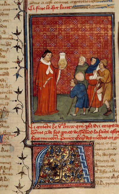 A Doctor Examining a Jar of Urine in Front of Patients by Unknown artist