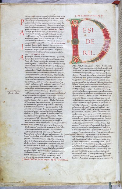 A Page from the 11th-Century Bible with Capital Letter D by Unknown artist