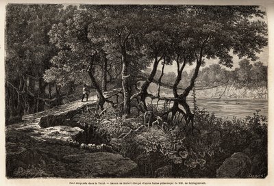 A suspended bridge in the Terai by Unknown artist
