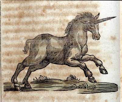 A unicorn, mythological animal - Engraving from a work by Athanasius Kircher by Unknown artist