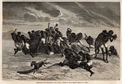 After having taken its share and the share attributed to the leader of the Hamran tribe, the crowd is brutally fighting over the remaining pieces. Engraving to illustrate the exploration of the Abyssinian tributaries of the Nile, by Sir Samuel W. Baker, in by Unknown artist
