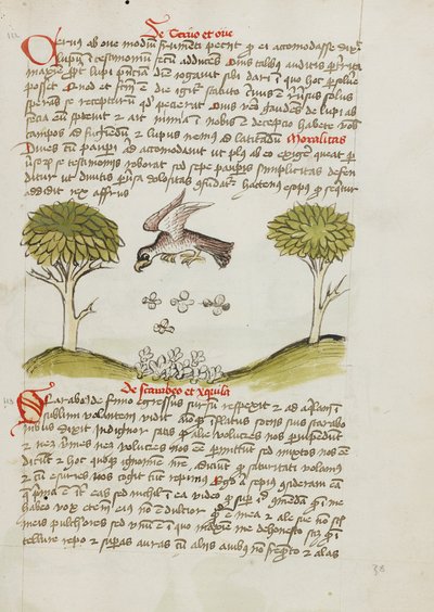 An Eagle Flying over a Swarm of Insects by Unknown artist