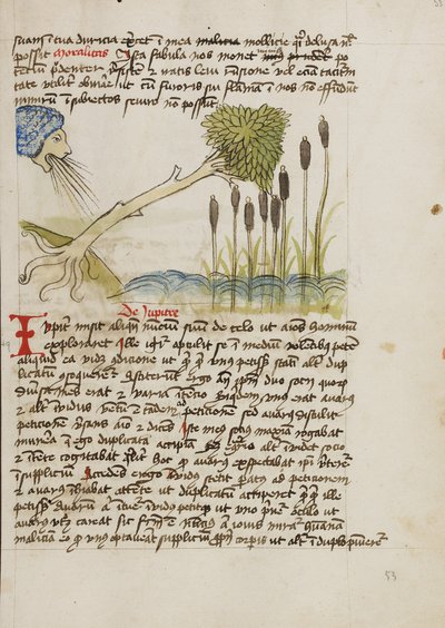 An Oak Tree Up-Rooted by Strong Winds by Unknown artist