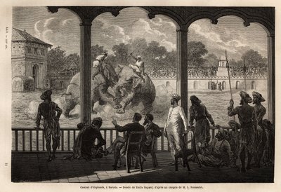 An elephant fight in Baroda, Gujarat state, India by Unknown artist