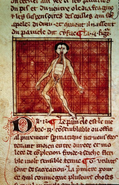 Anatomical Figure: Peel, Chest Open. Miniature from the Manuscript 