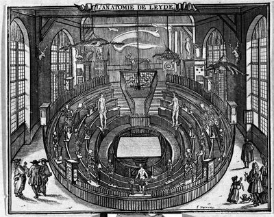 Anatomical theatre of the University of Leiden, end of the 17th century by Unknown artist
