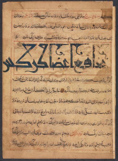 Benefits of the Parts of Vultures (From the Manafi