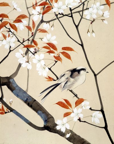 Bird and Cherry Tree in Bloom - Japanese Drawing by Riou Chim, Late 19th Century by Unknown artist