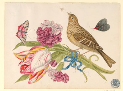 Bird with Tulip, Carnation, Butterflies, and Insect by Unknown artist