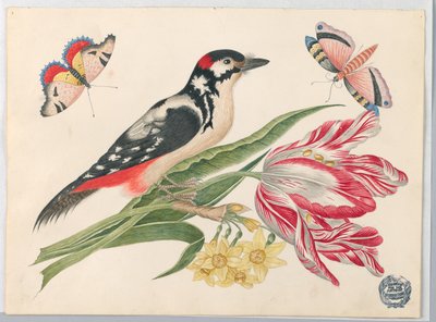 Black-and-White Mottled Bird on Tulip Stem, with Daffodils and Butterflies by Unknown artist
