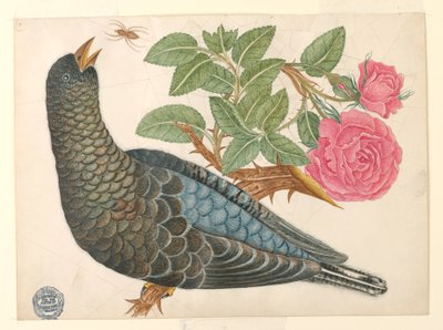 Blue-Black Bird on Rose Branch with Spider by Unknown artist