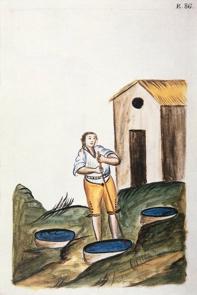 Blue dye tray used to dye wool, from the book Trujillo del Peru or Codice Martinez Compañón, by Baltazar Martinez Compañón y Bujanda, bishop of Trujillo (1782-1785) by Unknown artist