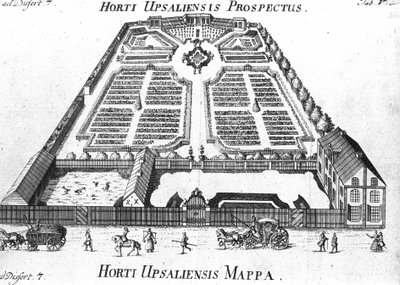 Botanical Garden - HORTI UPSALIENSIS Prospective and Plan by Unknown artist