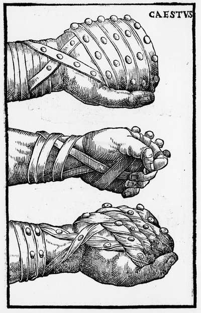 Boxing Gloves - in 