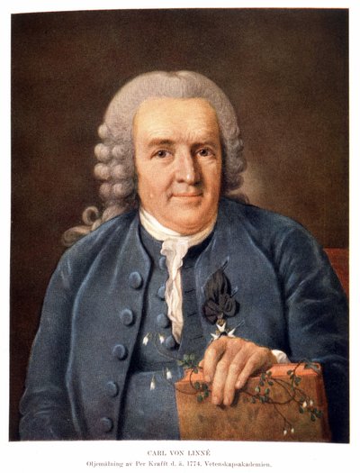 Carl von Linné, Swedish Naturalist and Writer by Unknown artist