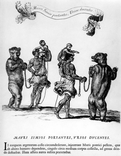 Circus: Parties in Versailles - in 