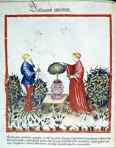 Collect Basil. Illumination from the Trade of Medicine and Dietetics Tacuinum Sanitatis After the Trade of Medicine Kitabtaqwim as-sihha by Ibn Butlan by Unknown artist