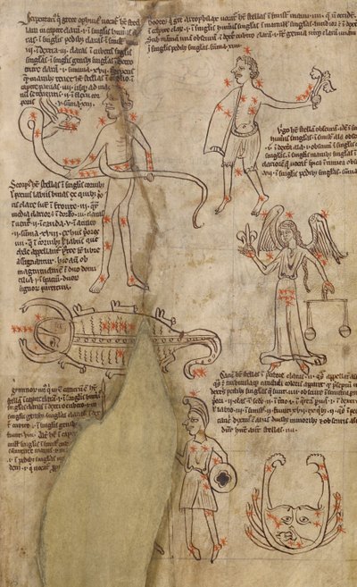 Constellation Diagrams by Unknown artist
