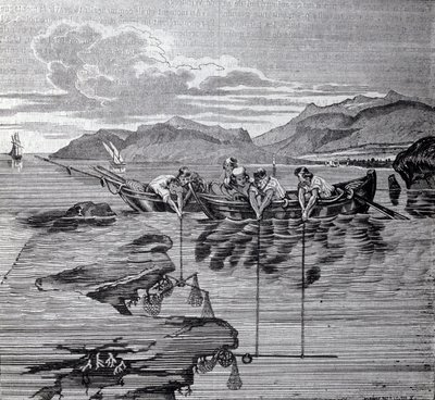 Coral fishing with the help of salaber and gear by Unknown artist