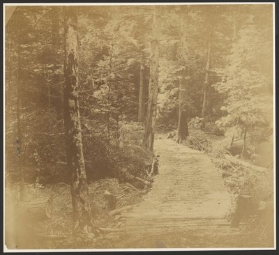 Corduroy Road on way to Harper