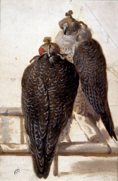 Couple of hawks by Unknown artist