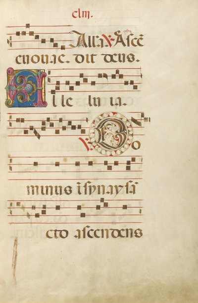 Decorated Initial A; Decorated Initial D by Unknown artist