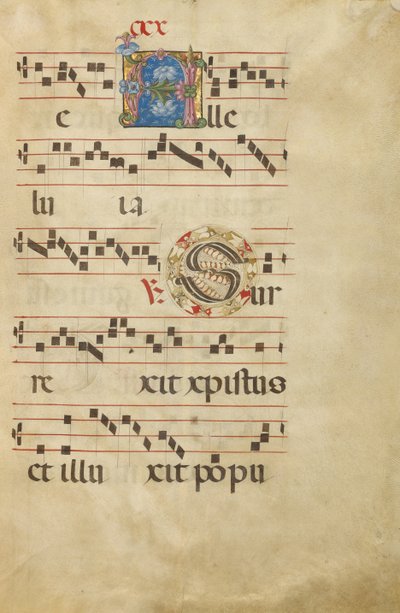 Decorated Initial A; Decorated Initial S by Unknown artist