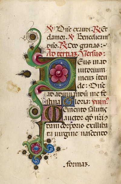 Decorated Initial D; Decorated Initial M by Unknown artist