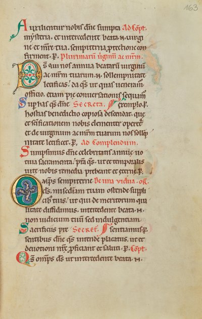 Decorated Initial D; Decorated Initial O by Unknown artist