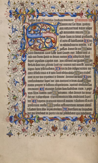 Decorated Initial S by Unknown artist