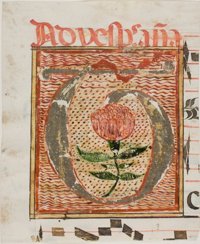Decorated Initial "T" with Flower from a Manuscript by Unknown artist