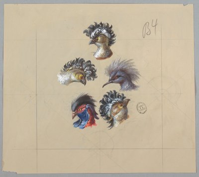 Design for Wallpaper and Textile: Birds by Unknown artist