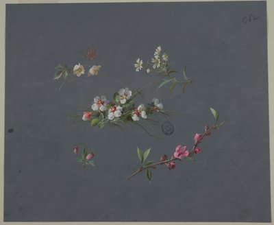 Design for Wallpaper and Textiles: Flowers by Unknown artist