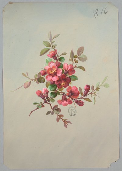 Design for Wallpaper and Textiles: Flowers by Unknown artist