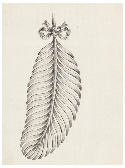 Design for a Brooch in Shape of a Feather by Unknown artist