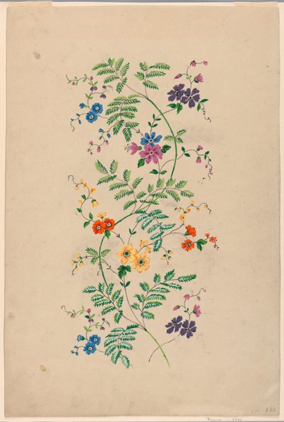 Design for a Vertical Rinceau for a Woven Fabric by Unknown artist