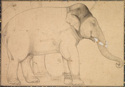 Drawing of an Elephant by Unknown artist